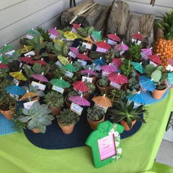 Succulent Luau Favors