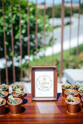 Let Love Grow Favors